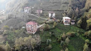 Karadenizde tuğlalı yapılar hem göze hem de cebe zarar