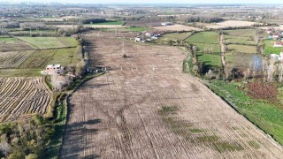 Karadenizin en büyük incir projesi: 50 milyon TL gelir kız çocuklarına verilecek