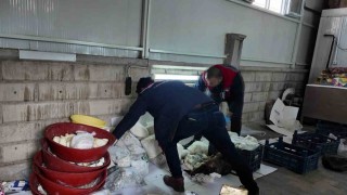 Karamanda son kullanma tarihi geçen peynir ve tereyağlarına el konuldu