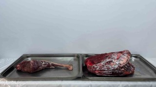 Karamanda yaban keçisi avlayan şahıslara 954 bin 208 lira ceza