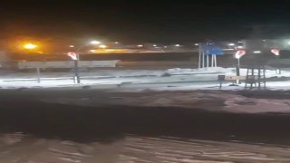 Karayazıda akşam saatlerinde kurt alarmı