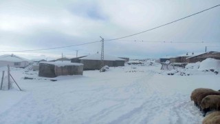 Karla birlikte Türkiyenin en yüksek köyü Kışkılıda besiciler zor durumda kaldı