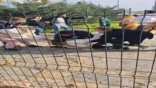 Kartal Anadolu Adliyesi önünde iki aile arasında yumruk yumruğa kavga çıktı