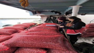 Kastamonuda beyaz kum midyesi denetimi