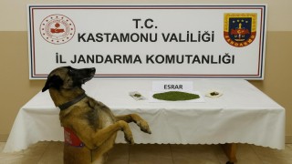 Kastamonuda uyuşturucu operasyonu: 1 tutuklama