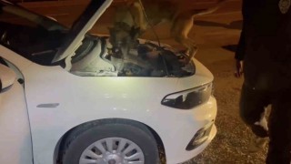 Kastamonuda uyuşturucu operasyonu: 5 tutuklama