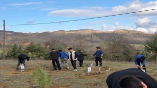 Kavakta doğa için fidan, eğitim için kitap desteği