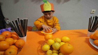 Keçiörende çocuklara C vitamini şenliği