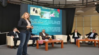 Kestane Büyükşehirle filizleniyor