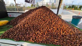 Kestane sezonu açıldı: Kilosu 175 lira