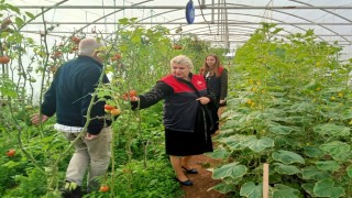 Kırklarelinde sera kontrolleri