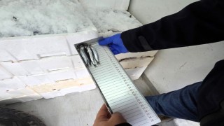 Kırklarelinde su ürünleri denetimi
