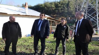 Kırsalda bereket var projesiyle üreticiye büyükbaş desteği