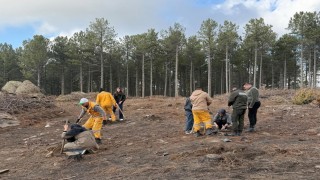 Kırşehirden gelen üniversite öğrencileri Çinede fidan dikti