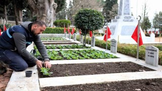 Kocaelide şehitliklerde bakım ve çiçeklendirme çalışması