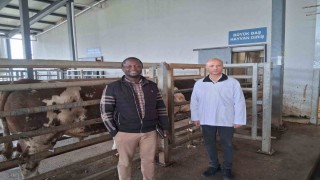 Kocaelideki mezbaha tesisi İslam ülkelerine örnek gösterildi