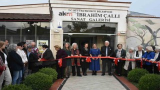 Koleksiyoner Ebru Turhanın sergisi, sanatseverleri doğayla buluşturdu