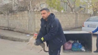 Konserve kutusuna sıkışan kedi kurtarıldı