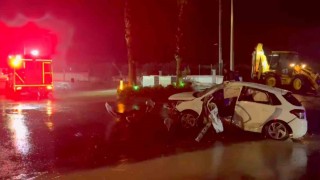 Kontrolden çıkan otomobilin sürücüsü hayatını kaybetti