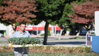 Konyaaltında mevsimlik çiçek ekimi