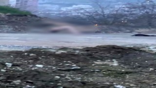 Köprü altında akıllara durgunluk veren görüntüler
