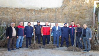 Köşklü üreticilere kestane fidanı dağıtıldı