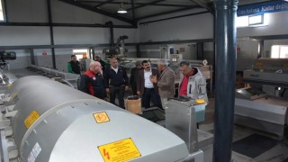 Köyceğiz Kaymakamı Kumcu, zeytinyağı fabrikasında inceleme yaptı
