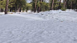 Köyceğiz Sandras Dağı karla kaplandı