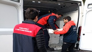 Küçük boyda avlanan 307 kasa istavrite el konuldu