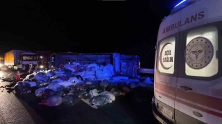Kuzey Marmara Otoyolunda  kamyonet devrildi: 2 yaralı