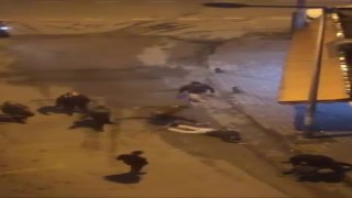 Laf attığı kişiler tarafından böyle darp edildi… Dövmekle yetinmediler, yerde tekmelediler