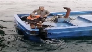 Lapsekide iskelede denize düşerek sürüklenen köpeğin yardımına balıkçılar yetişti