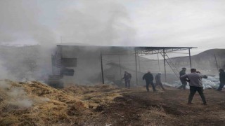 Malatyada besi çiftliğinde yangın