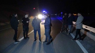 Malatyada kaçan yarış atları karayoluna çıktı: 6 at telef oldu, 2 kişi yaralandı