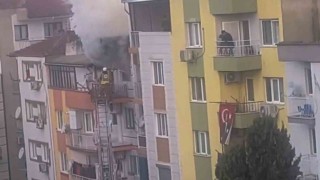 Manisada ev yangını: 6 kedi telef oldu