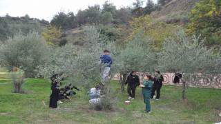 Manisada Zeytin 5.0 Projesiyle çocuklar hem öğrendi hem üretti