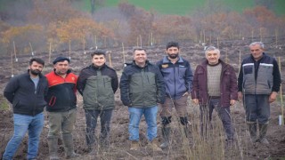 Manyasta orman köylüsüne gelir getirici ağaçlandırma