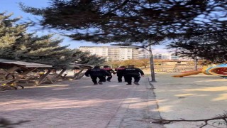 Mardinde huzur ve güven uygulaması yapıldı