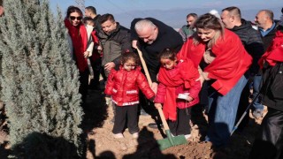 Menemen Belediyesi, yeni doğan bebekler için binlerce fidan dikti