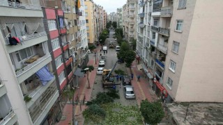 Mersinde ağaçlara kış bakımı