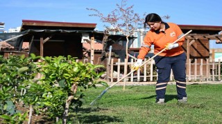 Mersinde Hobi Parkı yeni sezona hazır