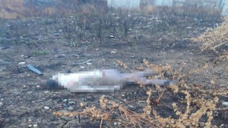 Mersinde kaza yapan araç otoyolda, sürücüsü 30 metrelik köprünün altında ölü bulundu