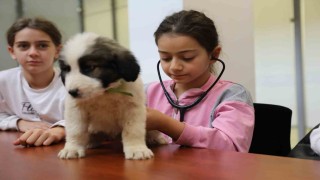 Minik veterinerler görev başında