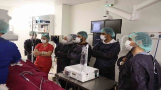 Mısırlı doktorlar tecrübe için Türk doktorlarını seçti