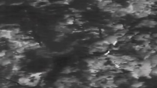 Muğlada yaban hayatına dron kalkanı