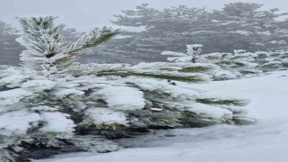 Muğlaya mevsimin ilk karı yağdı