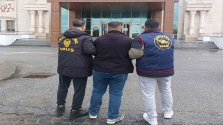 Muşta 20 yıl kesinleşmiş hapis cezası bulunan hükümlü JASAT tarafından yakalandı