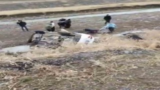 Muşta zincirleme trafik kazası: 1 ölü, 2 yaralı