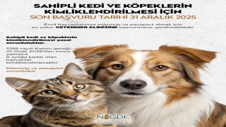 Niğde Belediyesinden kedi ve köpek sahiplerine uyarı: Son başvuru 31 Aralık 2025