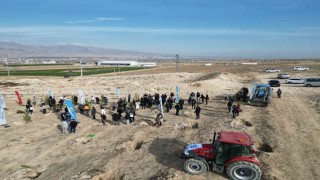 Niğdede bal ormanı için 5 bin fidan toprakla buluştu